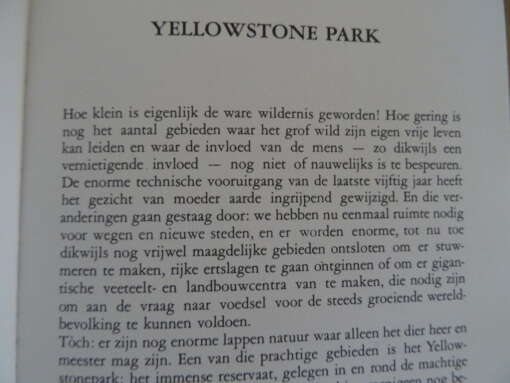 W. Stuyvenberg In het land der beren Walt Disney