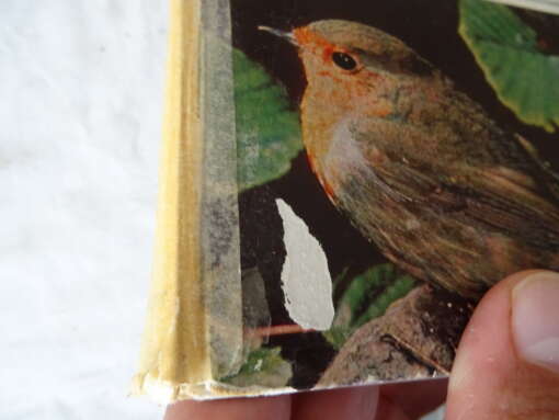 Collectie boeken over vogels