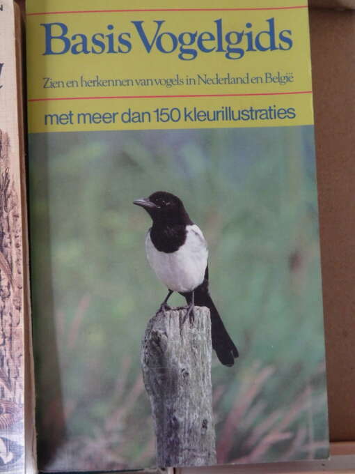 Collectie boeken over vogels