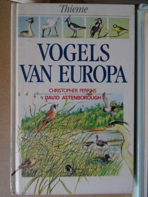 Collectie boeken over vogels