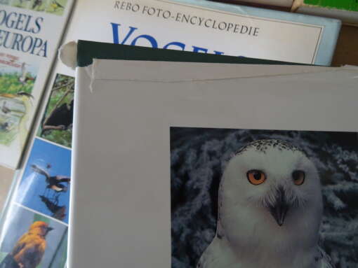 Collectie boeken over vogels