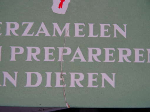 Georg Stehli Verzamelen en prepareren van dieren