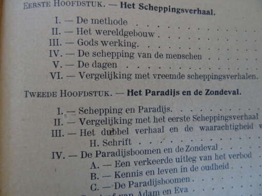 TH. van Tichelen Schepping en zondvloed