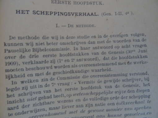 TH. van Tichelen Schepping en zondvloed