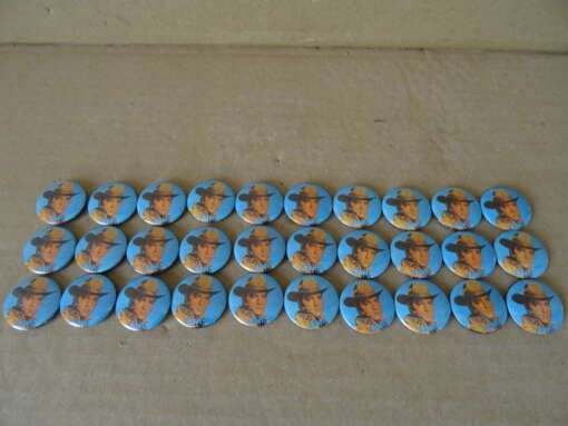 Collectie van 31 vintage Elvis Presley buttons