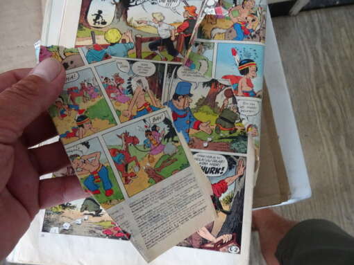 Collectie van 321 Donald Duck strips 1978-1988